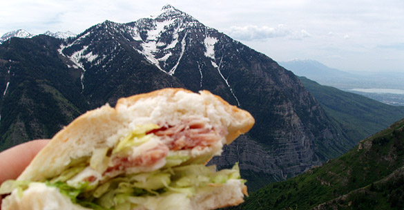 sandwich and mountain.jpg